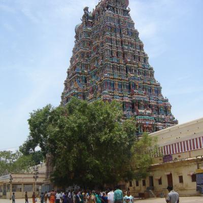 Ingresso Tempio Madurai India